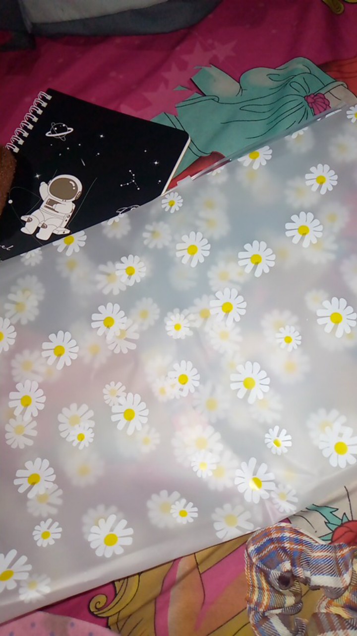 [tu] Kantong Zip Lock Transparan Bunga Daisy - Hw0115