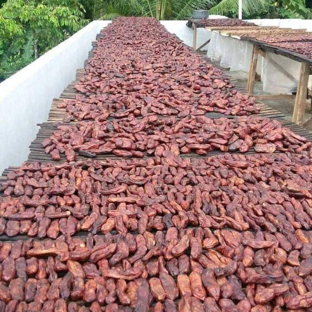 

Sale Original asli 1 kg enak dan bergizi, Tidak mudah basi, Asli dari pisang..