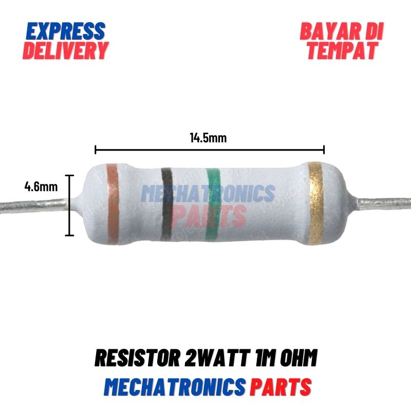 [PAS-9390] RESISTOR 2WATT 1MOHM