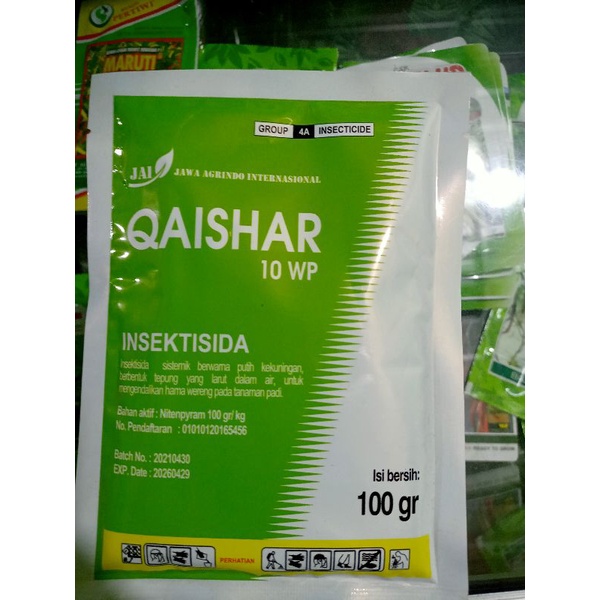 QAISHAR 10WP 100gr