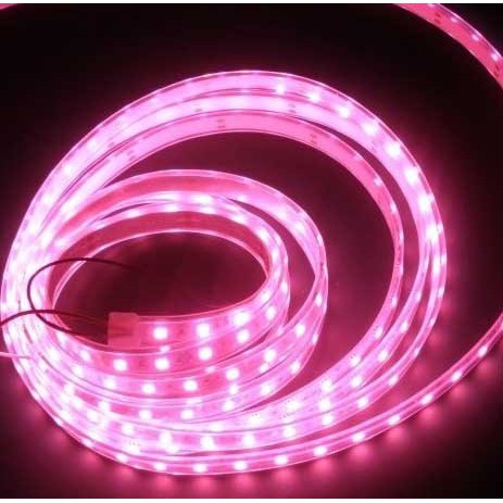 LAMPU LED STRIP SELANG SMD 5050 HARGA PERMETER PINK