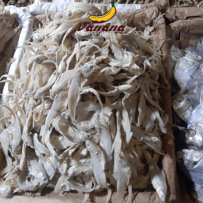 

Ikan Asin Bulu Ayam 1/4(250g)
