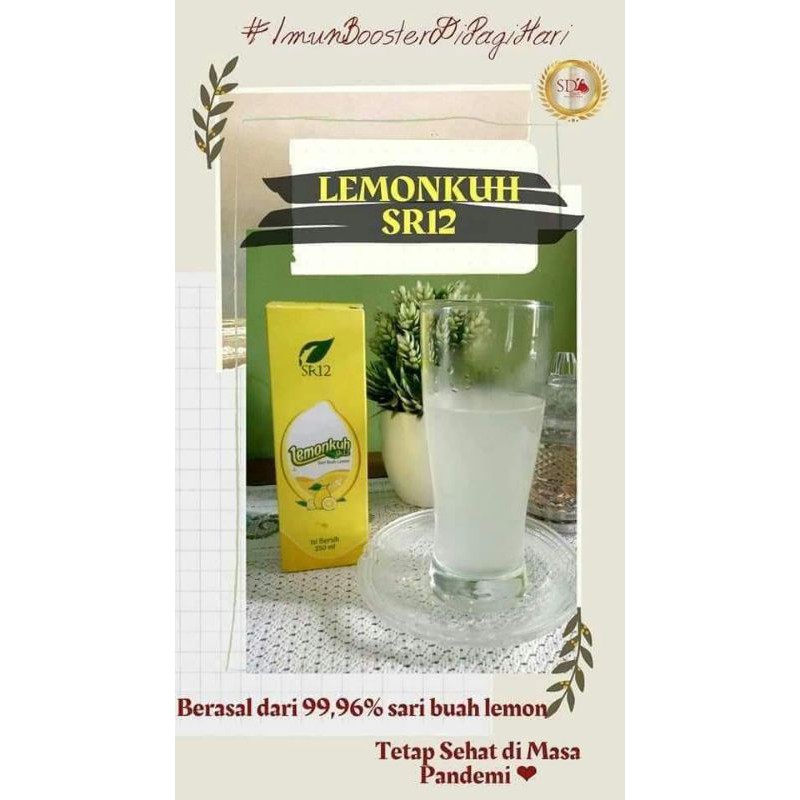 

lemonkuh sr12 | lemon | sari lemon | peluntur lemak | imun booster