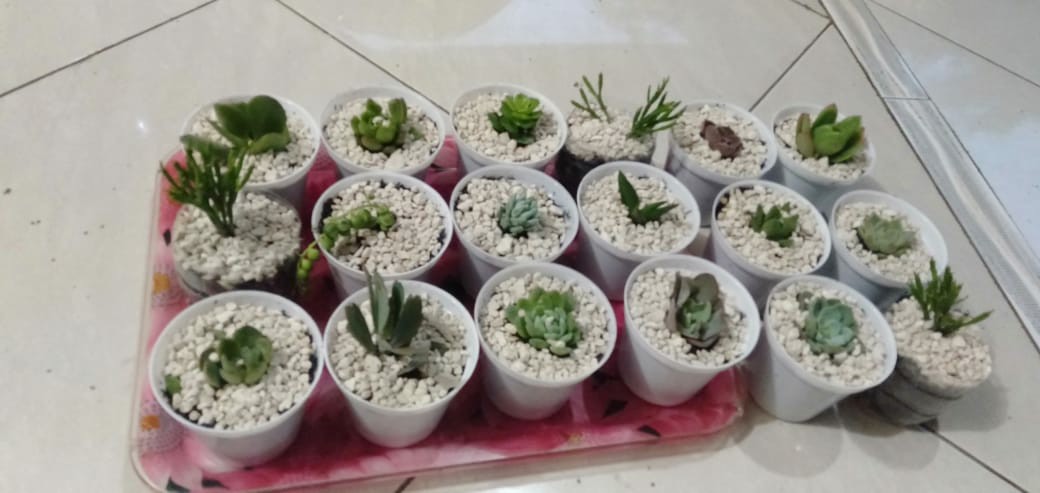 Batu Warna Kemasan 1kg