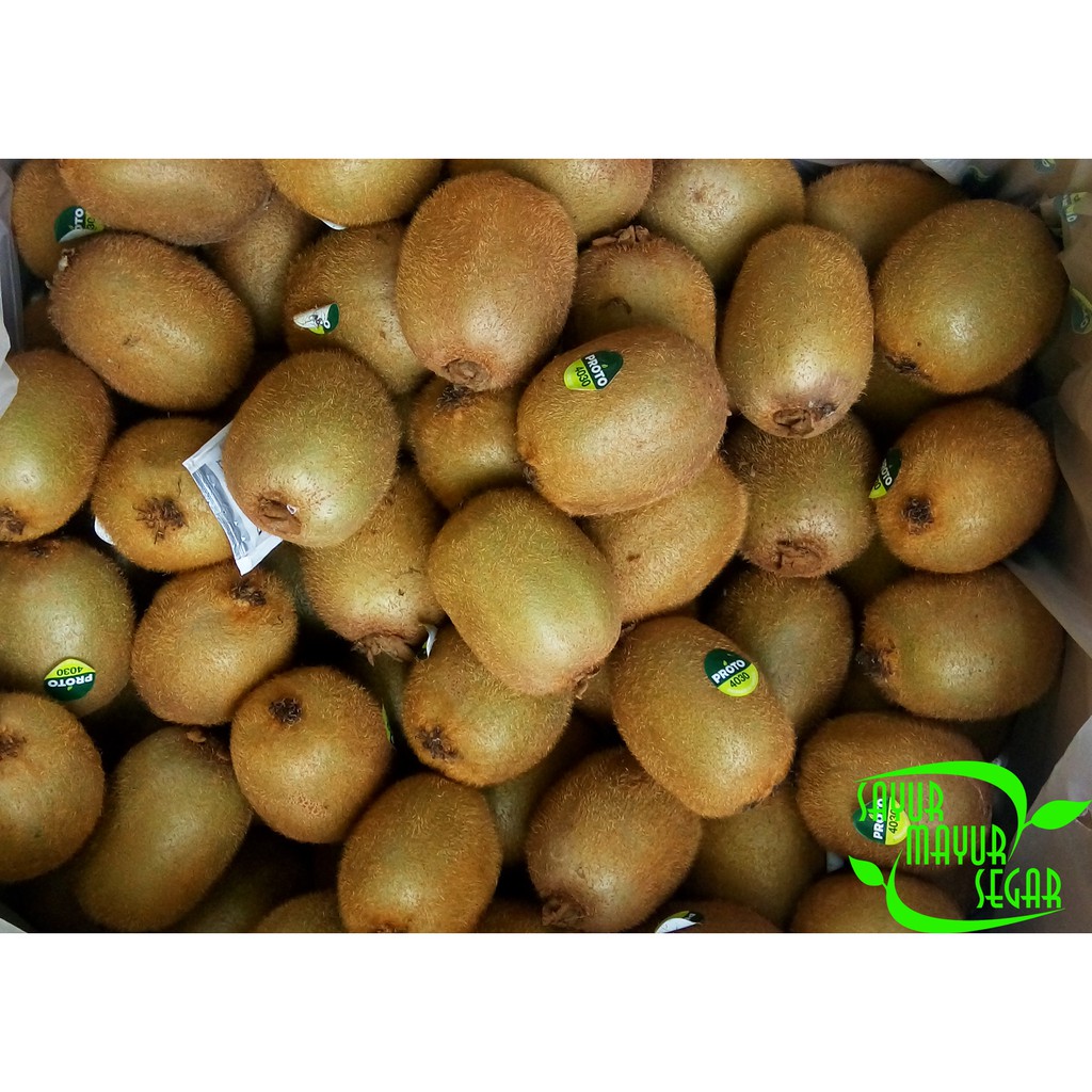 Gambar Buah Kiwi Segar - Gambar Buah Buahan