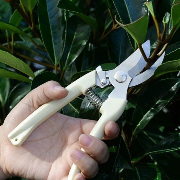 Gunting Dahan Ranting Tanaman Taman Pruning Shears Scissors Curve