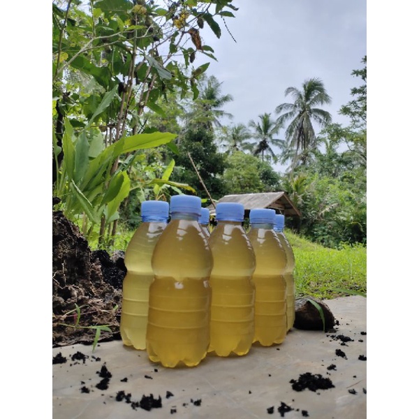 

minyak klentik/kelapa asli