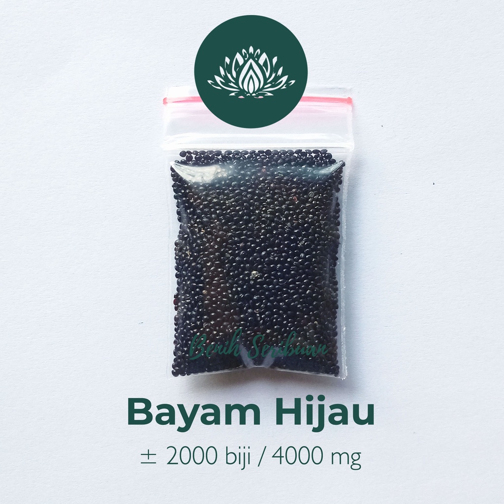 2000 Benih Bayam Hijau Sayuran Hidroponik Unggul Berkualitas - Bibit Tanaman Sayur Seribuan-4
