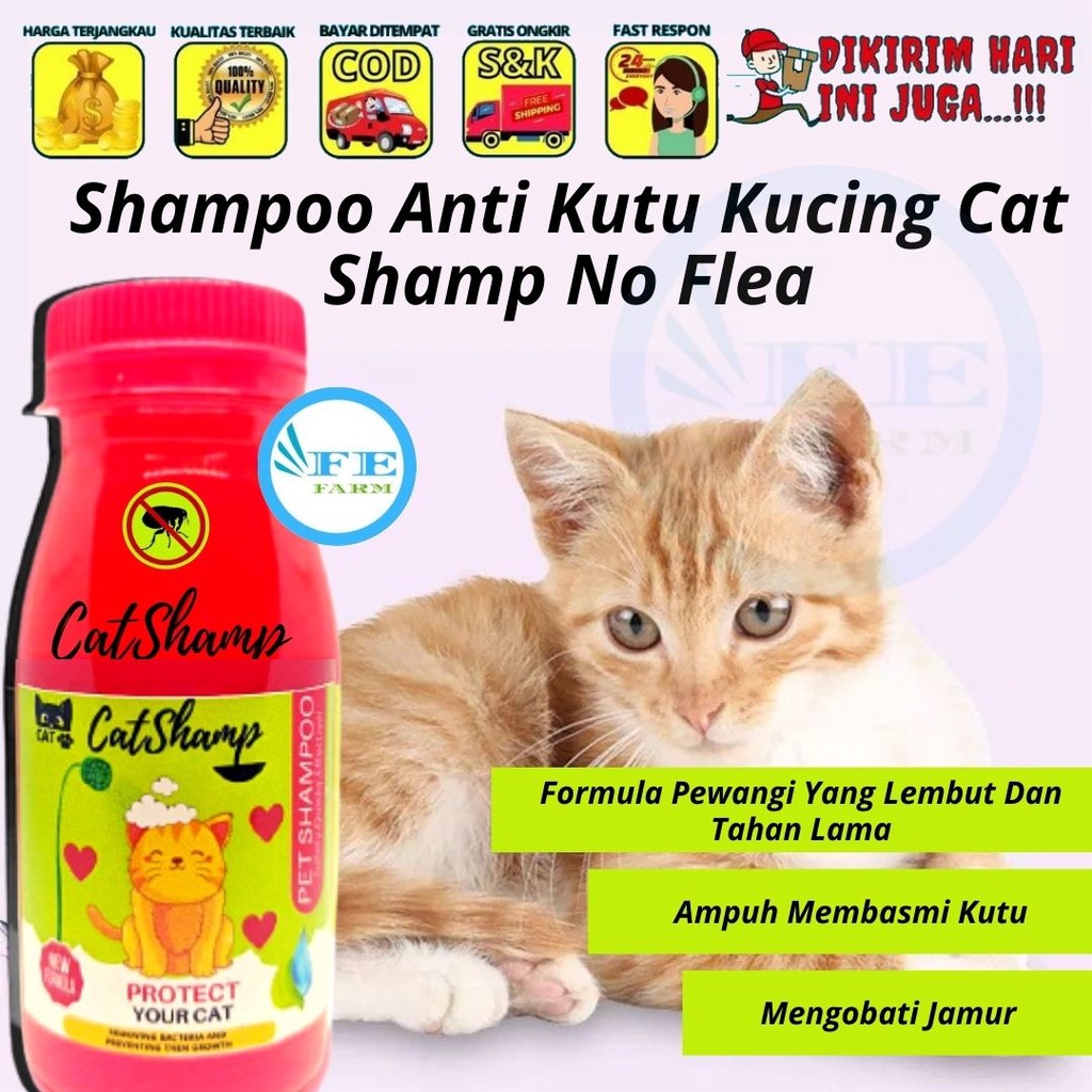 Shampo Sampo Shampoo Anti Kutu Kucing Cat Shamp No Flea FEFARM