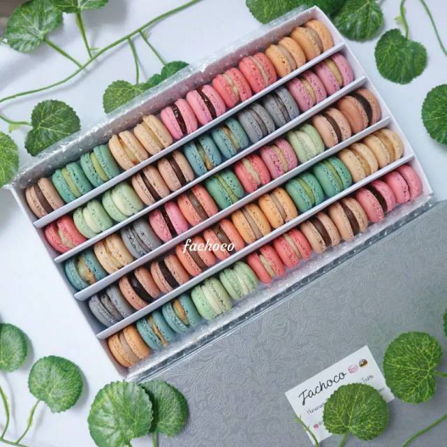 

Baby macaron mix isi 55