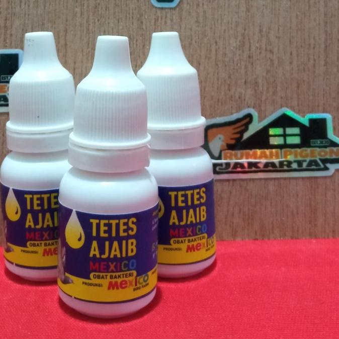 obat tetes ajaib burung merpati dara sakit lesu pilek ngorok mexico