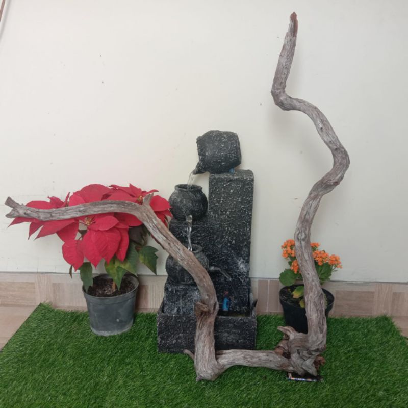 kayu santigi karang atau laut grade A105