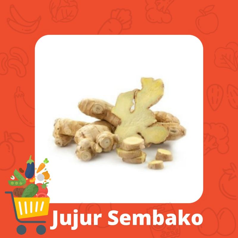 

JAHE GAJAH/JAHE PUTIH FRESH 1KG