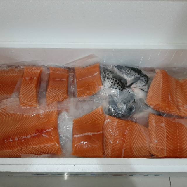 

Salmon Norwegia Fillet Fresh