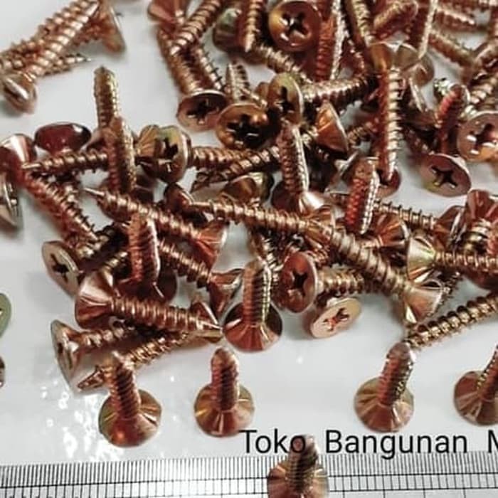 Sekrup Kalsiboard 2.5cm 6x1" Skrup GRC 50pcs