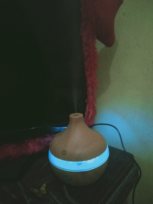 Firstsun Water Soluble Pure Essential Oils Aromatherapy Diffusers 10ml - Tslm2