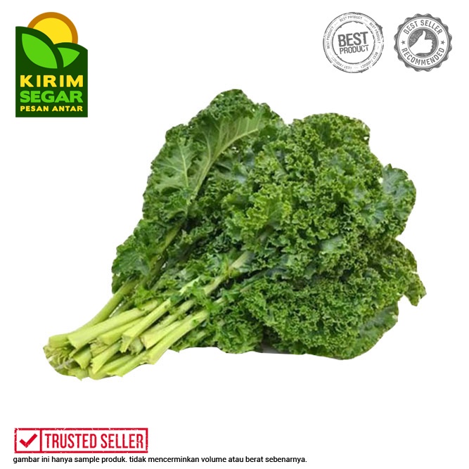 

Daun Kale / Sayur Kale / Daun Kale Fresh / Kale Segar / Pack
