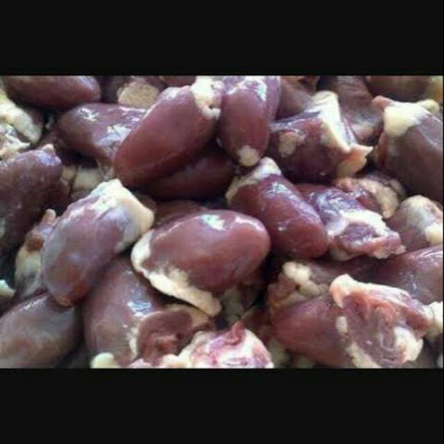 

Jantung ayam