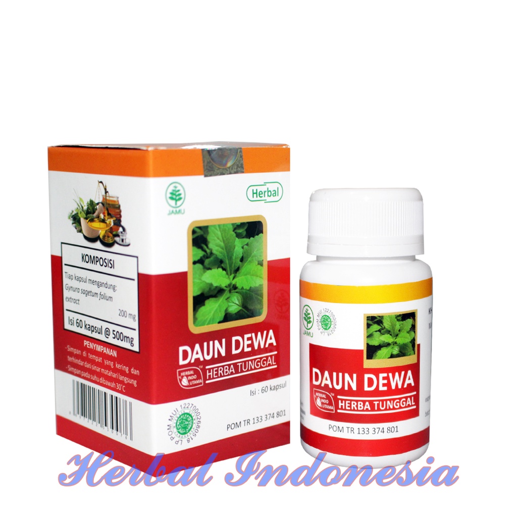 Kapsul Daun Dewa HIU iSI 60 - Obat Herbal Lever Kencing Manis - TB Paru, Kista