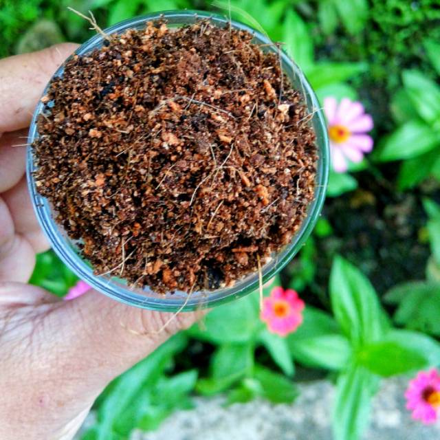 Cocopeat - 1 kg