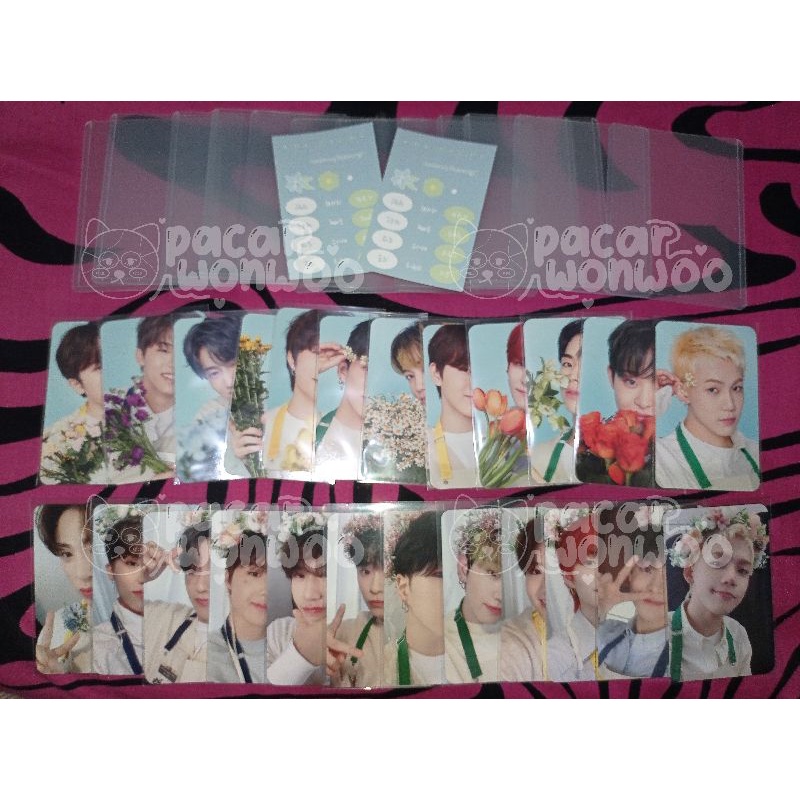 PC Blooming TREASURE