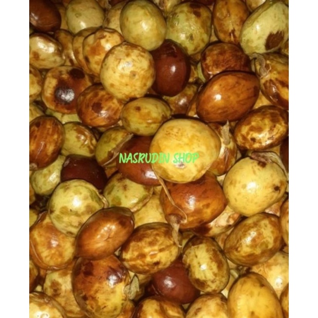 

JENGKOL TUA SEGAR TERMURAH / JENGKOL KUPAS / JERING / BUKAN JENGKOL MUDA / BUKAN JENGKOL KULIT