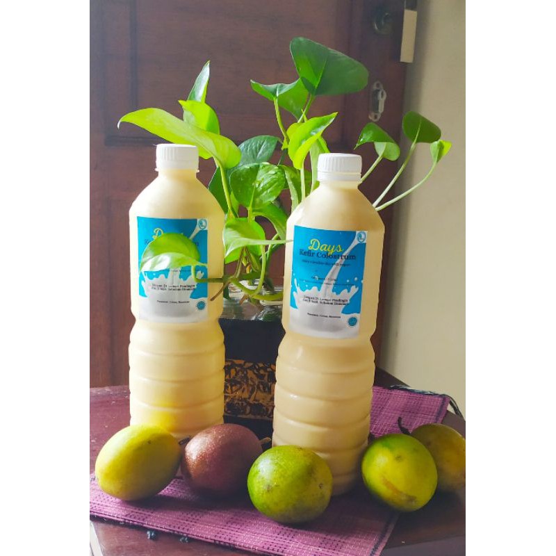

Kefir Kolostrum Susu Sapi Fermentasi 1 Liter