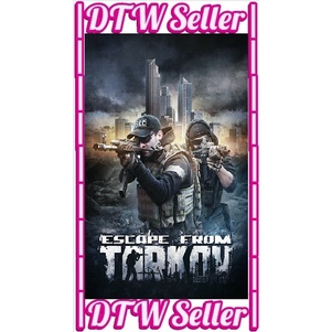 DVD Escape From Tarkov - Raid