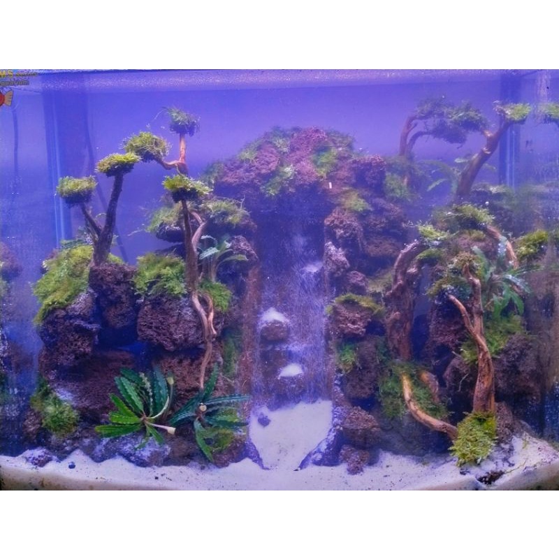 aquascape design waterfall