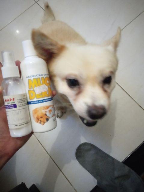 Kemeja Batik Pria Lengan Pendek Bac16 /bajukantor