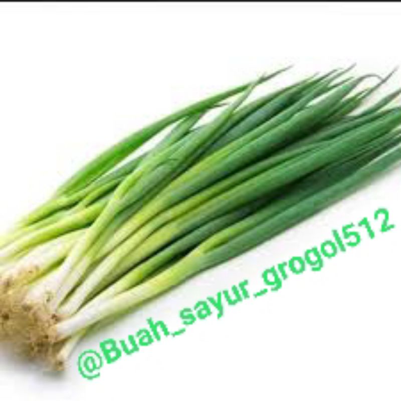 

Daun bawang _500gr