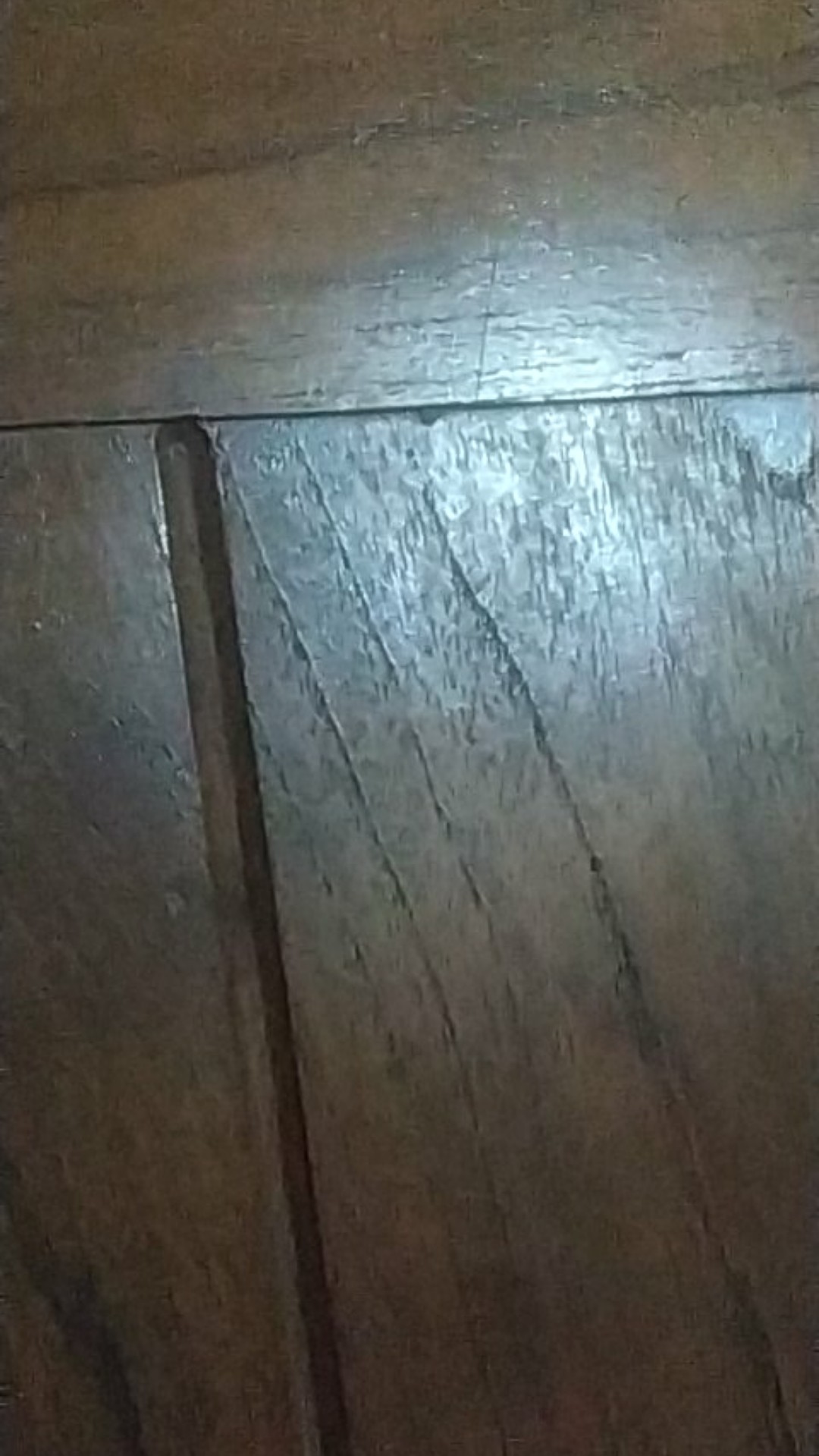 Sprei All New My Love 180x200 Tinggi 30 Motif Coastal Bohemian Canis Winter Triangle 180 King T30 Sp