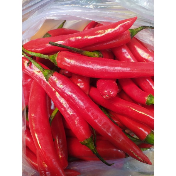 

Cabai Merah Gede Super(250g)