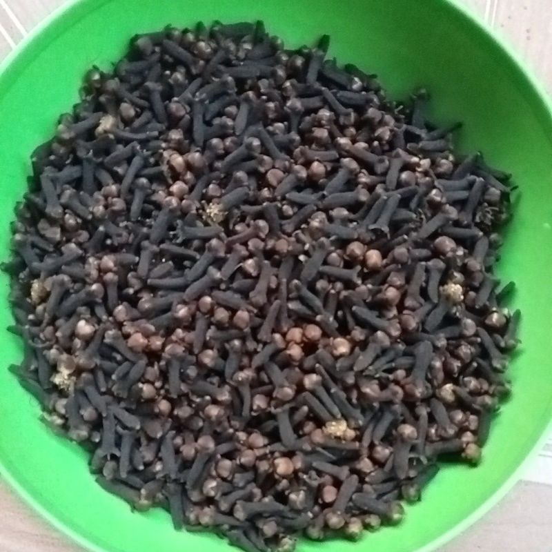 

cengkih kering 100 gram hasil panen sendiri