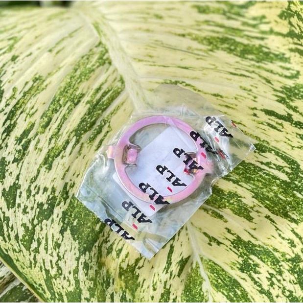 [1 PCS] RING GIGI GEARBOX KILOMETER SPEEDOMETER HONDA GL 100 GLK MERK ACAK RING GEAR SPEEDOMETER