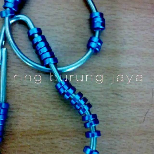 Ring burung polos khusus untuk konin, blacktrooth, pleci ukuran diameter 2.5mm