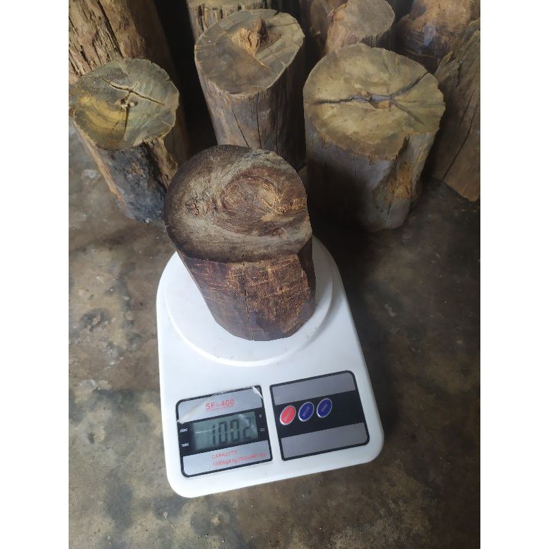 Gaharu Buaya Batangan Gaharu Buaya Bulat 1kg 1000% Asli Alami Kalteng Alami