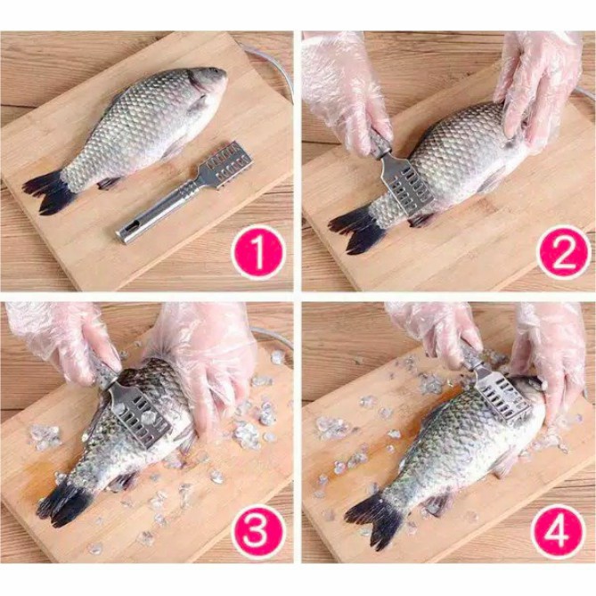 Alat Pembersih SIsik Ikan Stainless Steel Pengupas Penyisik Sisik Ikan
