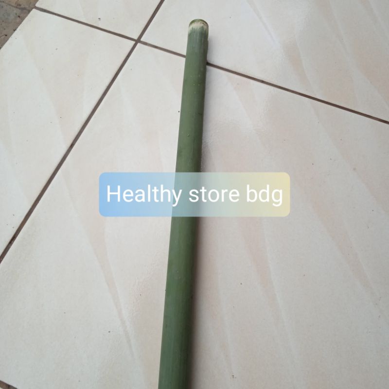 Bambu bahan seruling bambu tamiang panjang 80 cm