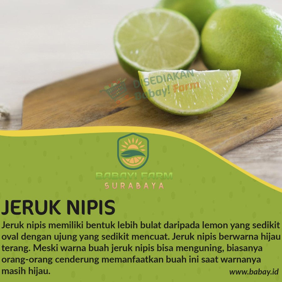 

Jeruk Nipis Pecel Segar / 250 500 gr 1 kg