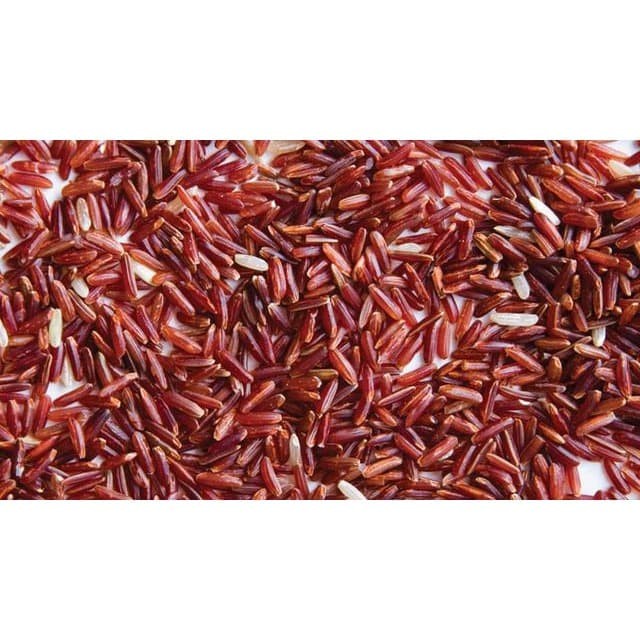 

Beras Merah Organik Bebas Pestisida