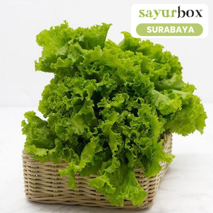 

Selada Keriting Conventional 250 gram (Sayurbox) - SURABAYA