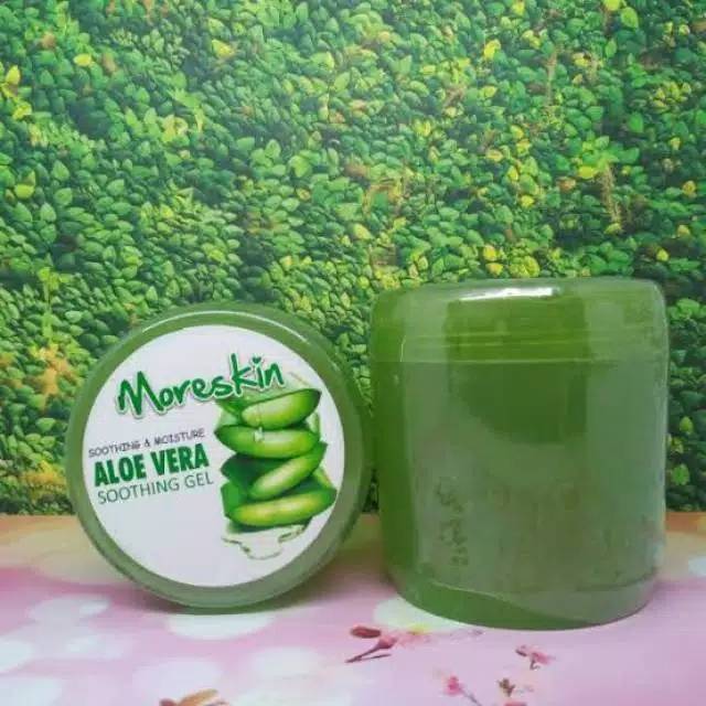 Aloe Vera / Moreskin Aloe Vera