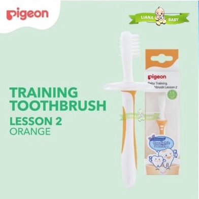 PERA65 PIGEON TRAINING TOOTHBRUSH LESSON 2 SIKAT GIGI ANAK