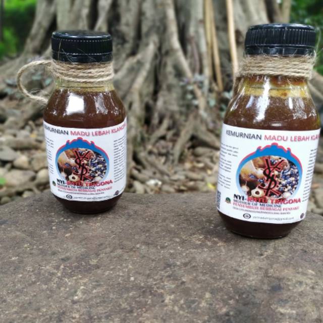 

Madu klanceng trigona