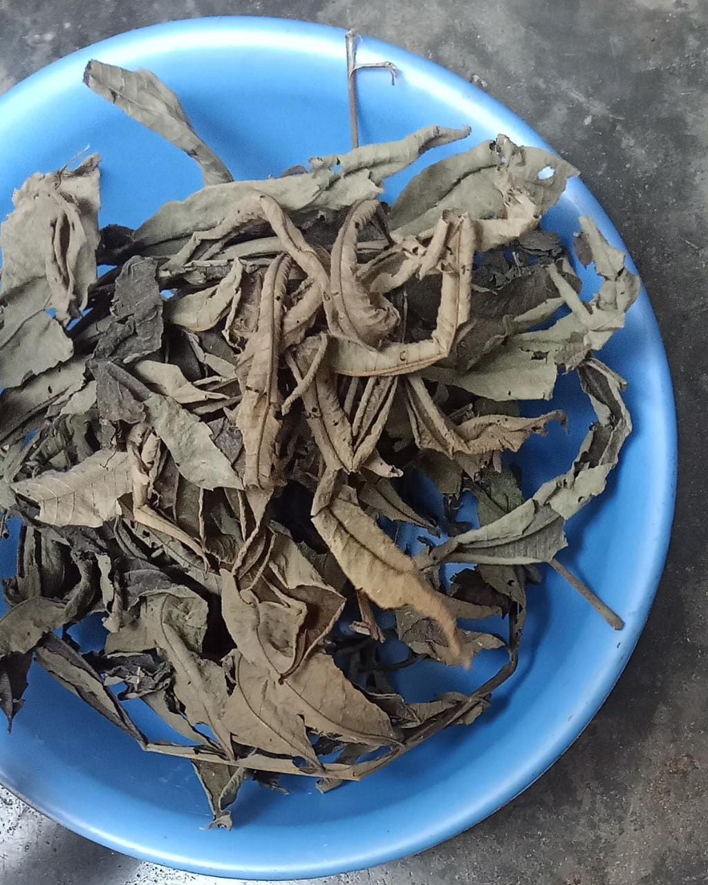 Gembok Chrome Hunter 30 Mm Pendek