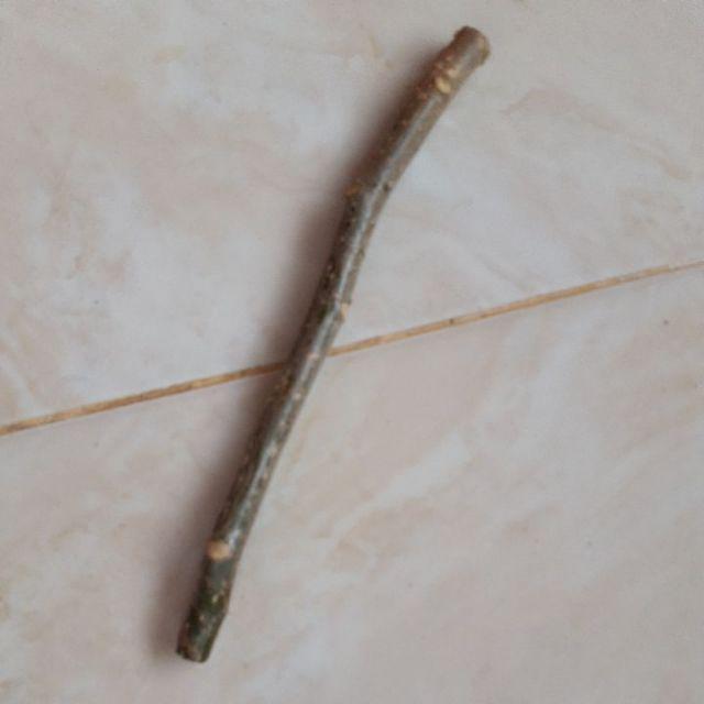 Jual Fress Cuttingi Pepaya Jepang