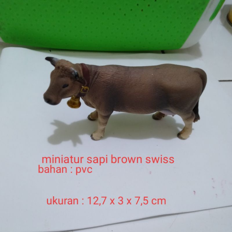 Miniatur Sapi Betina Brown Swiss