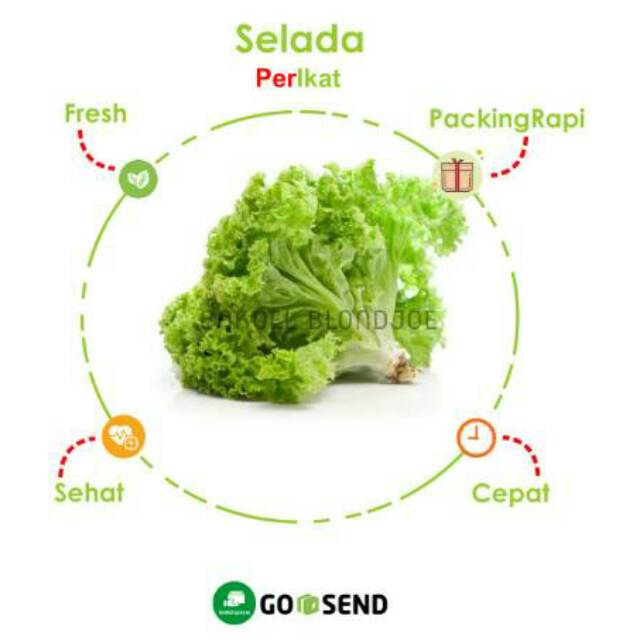 

SELADA HIJAU KERITING / LETTUCE / FRESH VEGETABLES / SAYUR MAYUR / SAYUR ONLINE SURABAYA