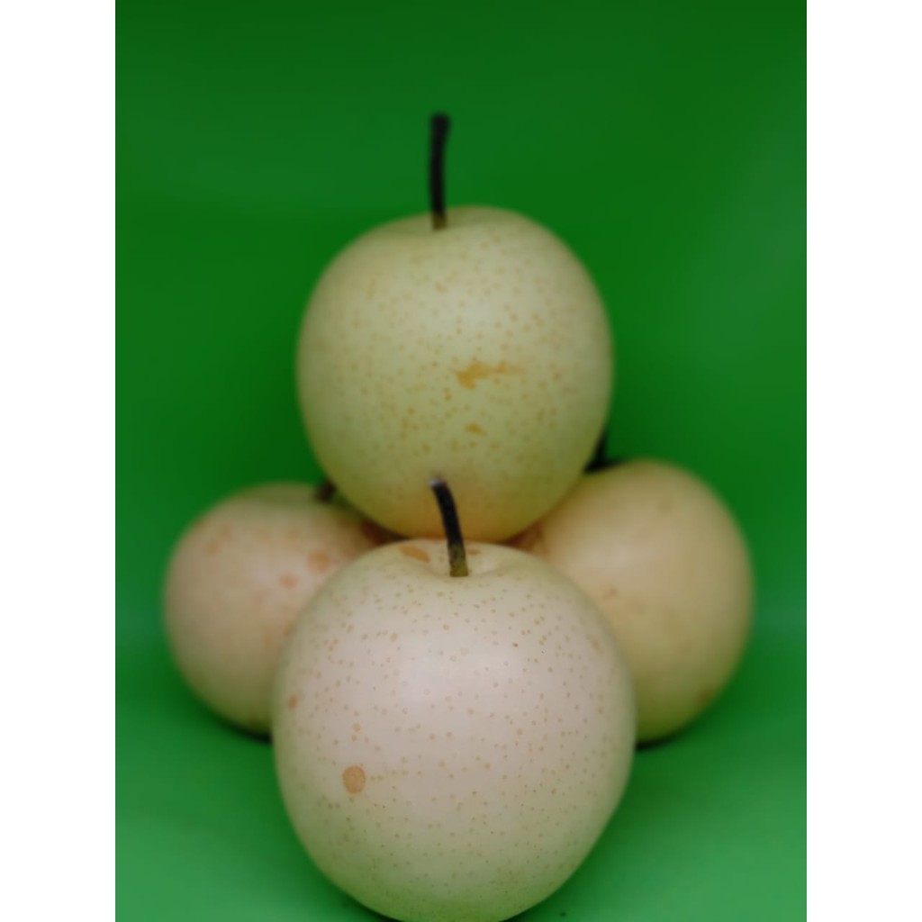 

PEAR CENTURY 1 KG FRESH